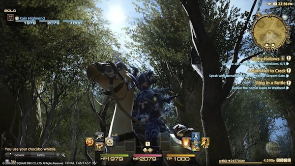 Final Fantasy XIV-image4