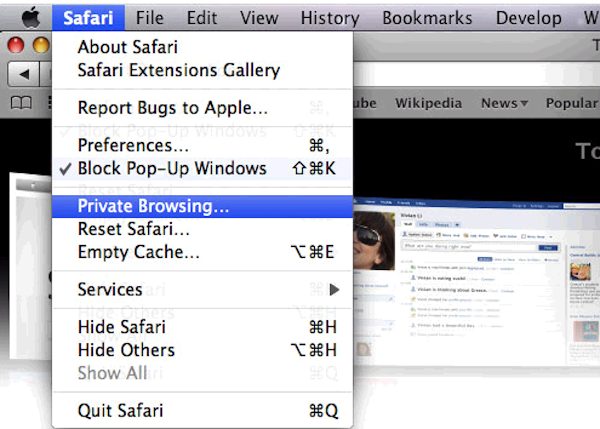 private web browsing safari