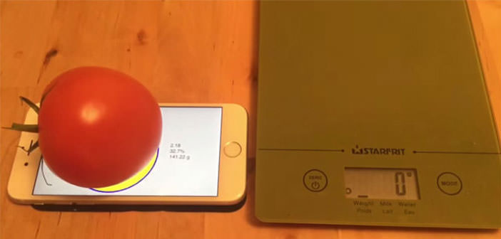 iPhone 6S weighing a tomato