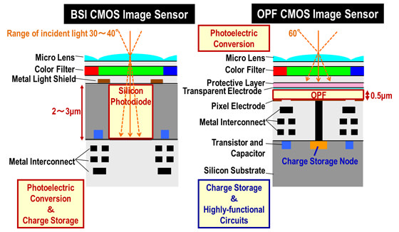 Panasonic organic Comparison