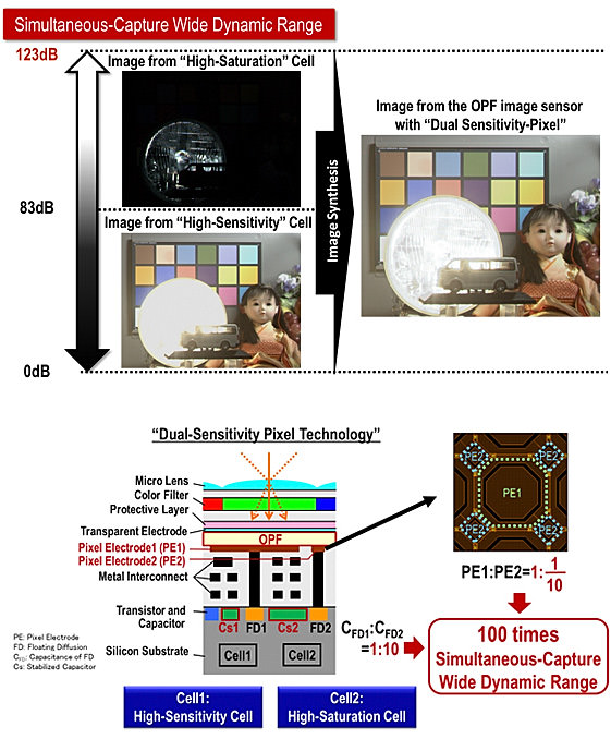 Panasonic Organic Dual Sensitivity