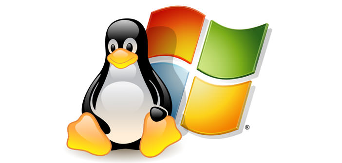 Windows and Linux