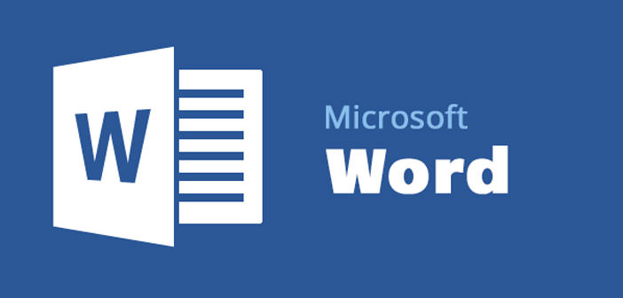 MS Word