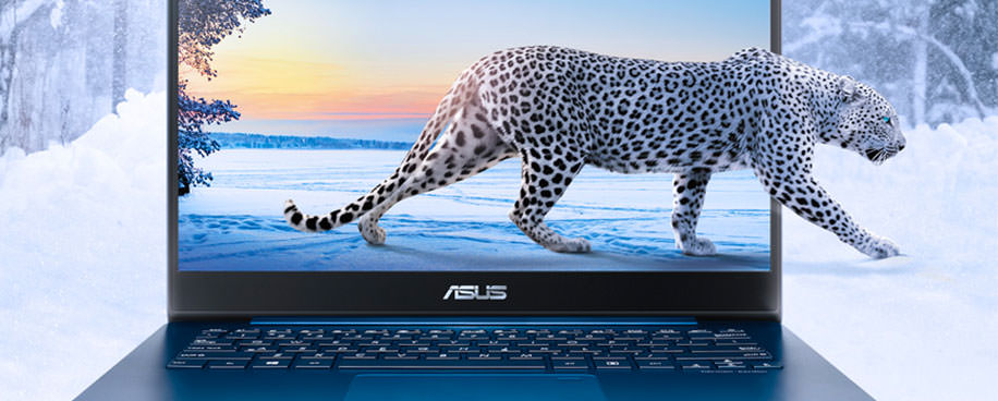 ASUS ZenBook UX430