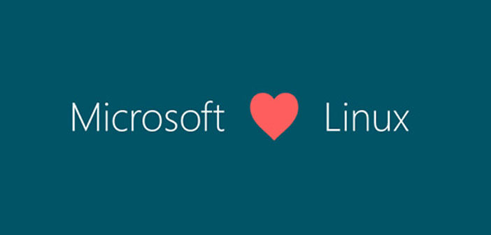 Microsoft Love Linux