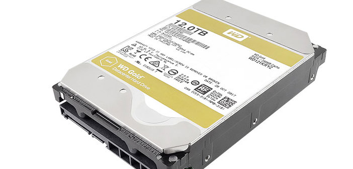 WD Gold 12TB