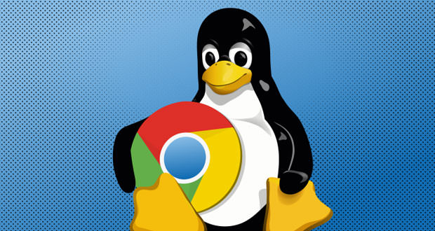 Chrome OS Support Linux